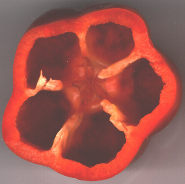 pepper-inside.jpg (63548 bytes)